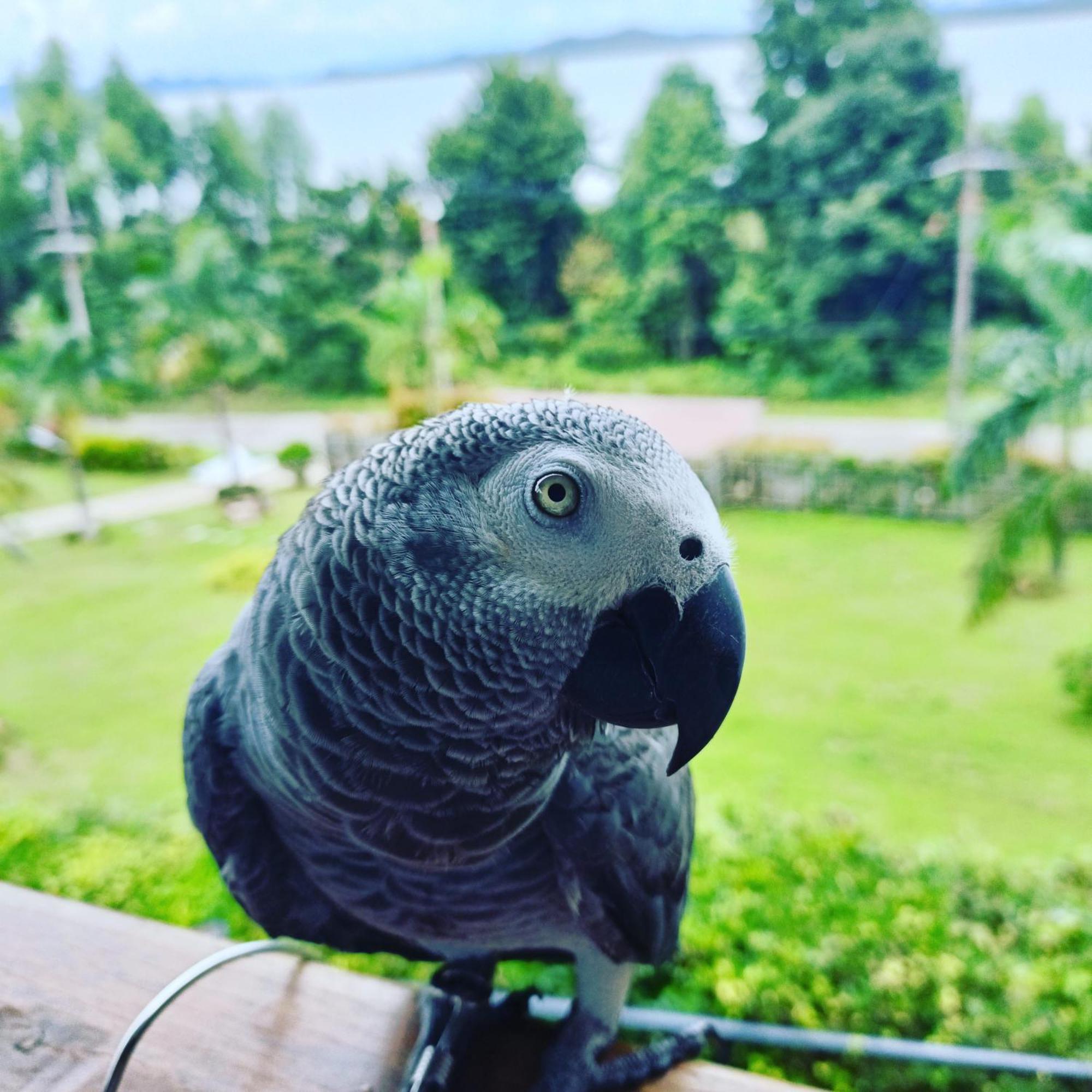 Resting Place Ko Yao 客房 照片
